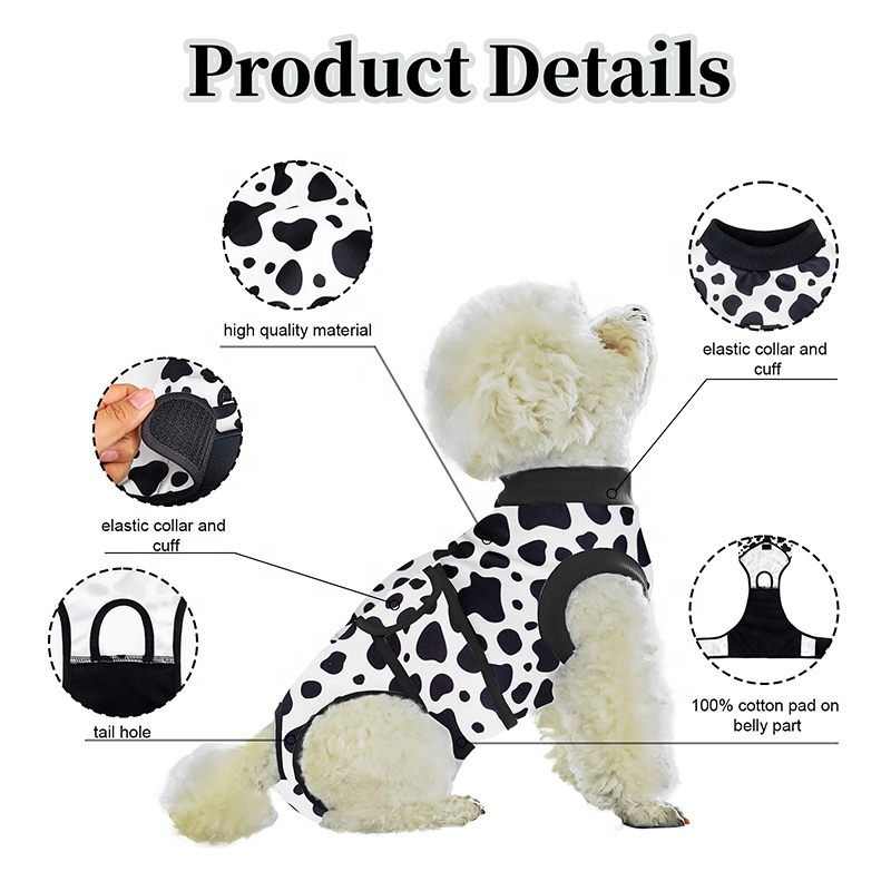 Tuta per chirurgia per cani Sp - Leather Work Factory recensione e prezzo