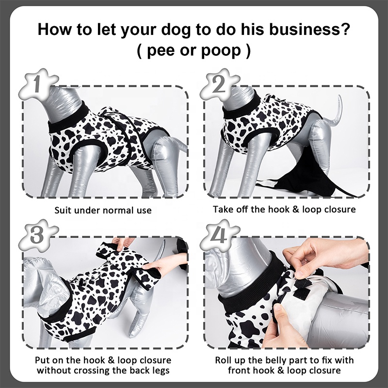 Tuta per chirurgia per cani Sp - Leather Work Factory recensione e prezzo